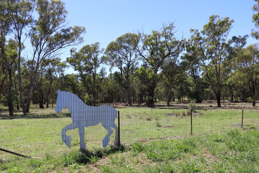52 BENDICK MURRELL ROAD, Bendick Murrell via Young NSW 2594 - Image 2