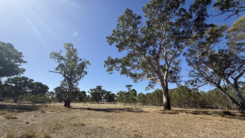 Click to view all images Allotment/2 V&A Lane Penola SA 5277 - Image 1