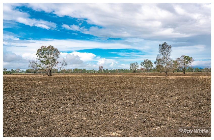 Click to view all images 253 Hunt Road Alton Downs QLD 4702 - Image 3