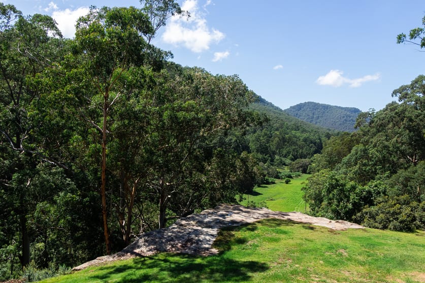 Click to view all images 35 Dogwood Road Laguna NSW 2325 - Image 3