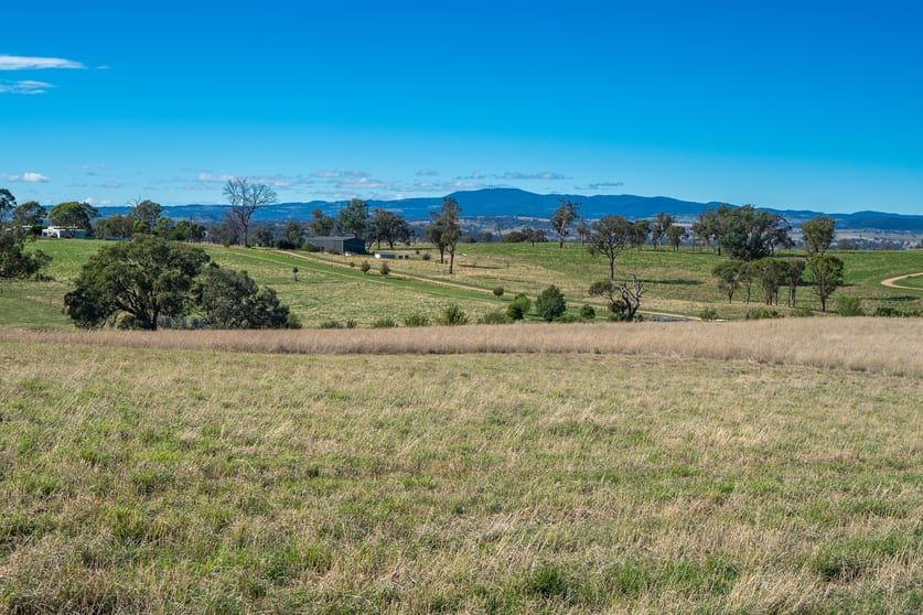 Click to view all images 614 Peabody Road Molong NSW 2866 - Image 1