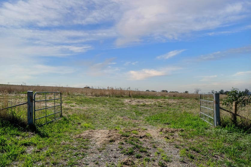 Click to view all images 614 Peabody Road Molong NSW 2866 - Image 2