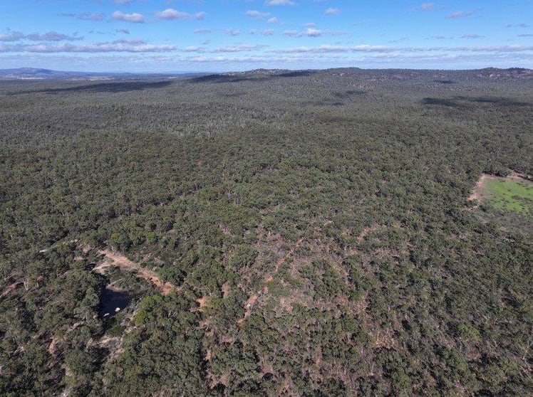 0 Halls Road Kingower VIC 3517 - Image 2