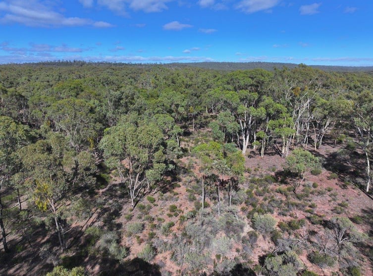 0 Halls Road Kingower VIC 3517 - Image 3