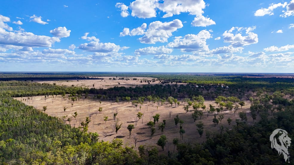 Click to view all images 10402 Newell Highway Jacks Creek NSW 2390 - Image 3