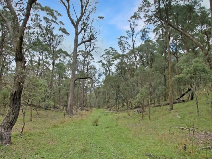 Click to view all images 135 Kangaroo Track Omeo VIC 3898 - Image 2
