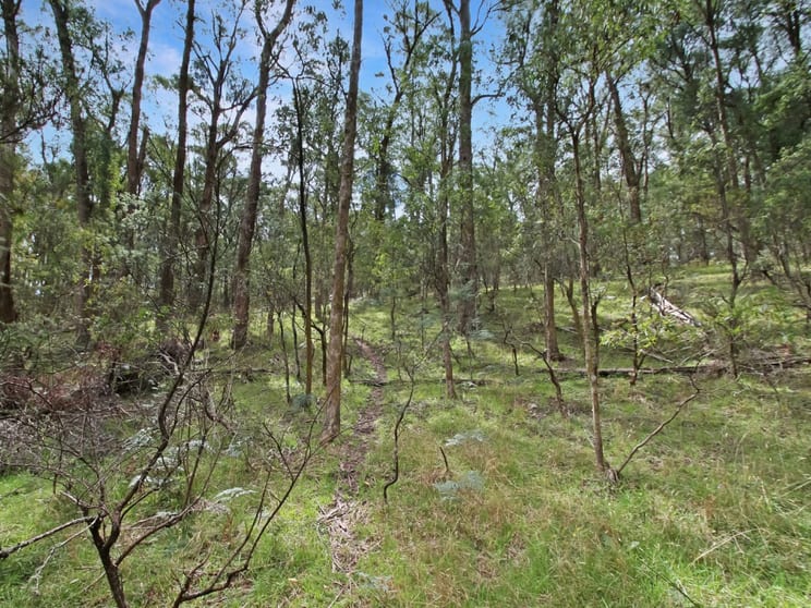 Click to view all images 135 Kangaroo Track Omeo VIC 3898 - Image 3