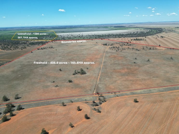 Click to view all images LOT 1 LP135805, 1 Cocketgedong Road Urana NSW 2645 - Image 2