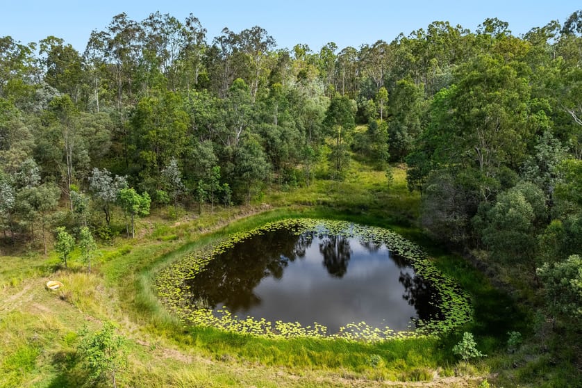 284 Peckhams Road Ewingar NSW 2469 - Image 2