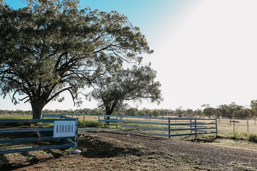 888 Dargal Road Roma QLD 4455 - Image 3