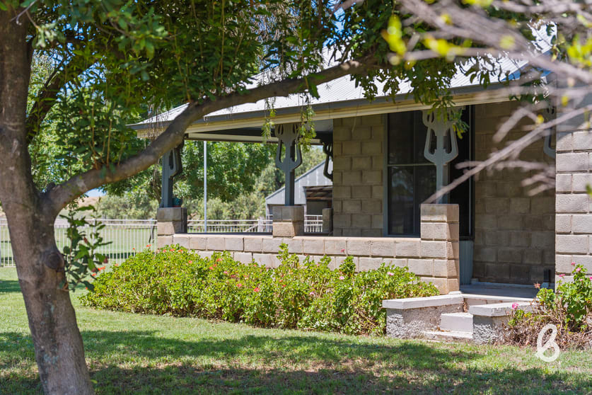 15 Ada Street Singleton NSW 2330 - Image 2