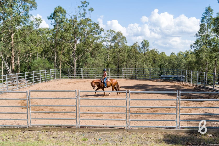 Click to view all images 241 Pioneer Road Singleton NSW 2330 - Image 3