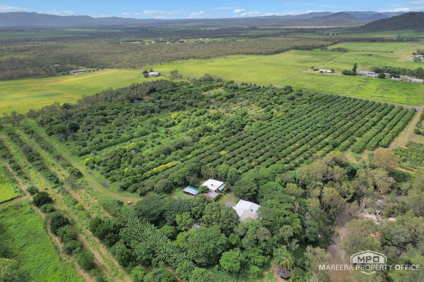 Click to view all images 346 Roiko Road Mareeba QLD 4880 - Image 1