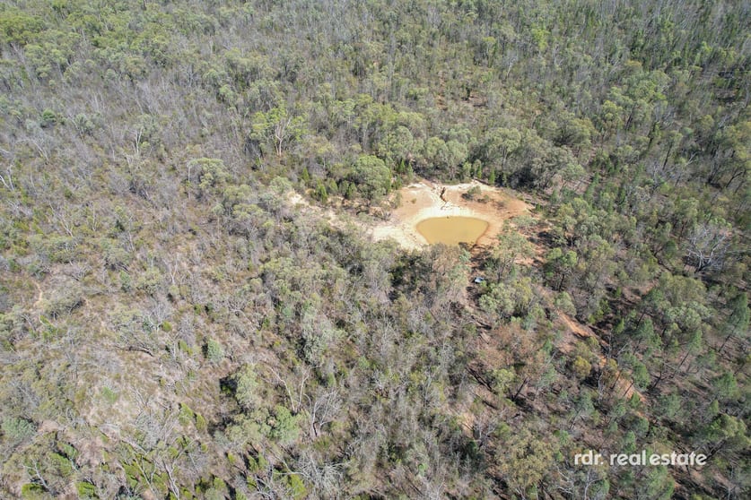 Click to view all images Lot 60 Oregon Road Warialda NSW 2402 - Image 2