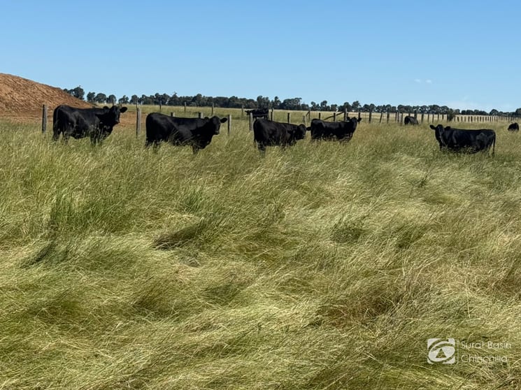 “Gedley et. al.” West Boondooma Road Durong QLD 4610 - Image 2