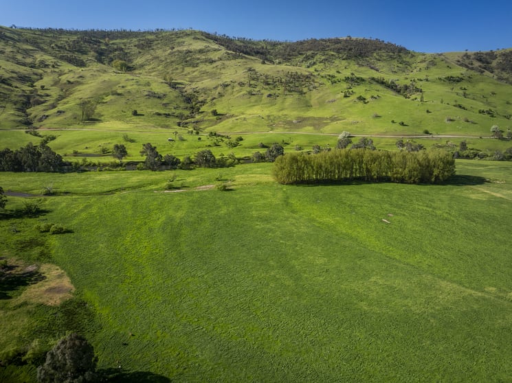 Click to view all images - Murray River Road Pine Mountain VIC 3709 - Image 3