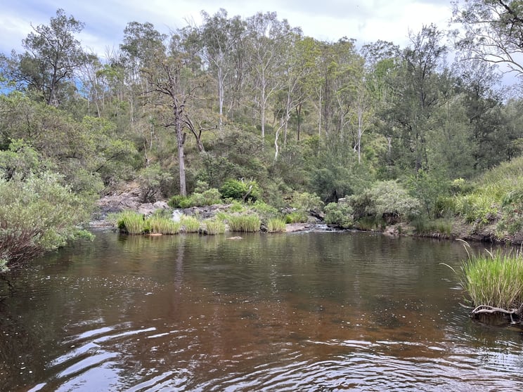 Click to view all images 7266 Mount Lindesay Road Liston NSW 2372 - Image 2