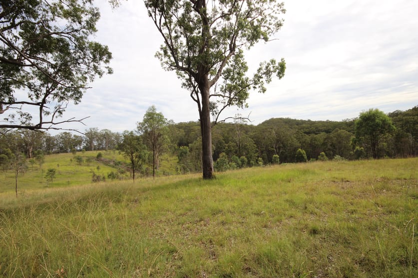 702 Comboyne Road Byabarra NSW 2446 - Image 2
