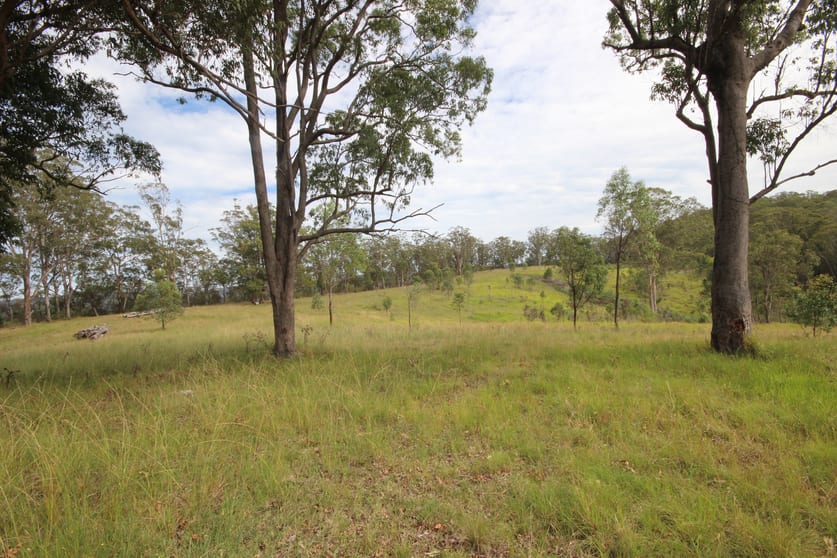 702 Comboyne Road Byabarra NSW 2446 - Image 3