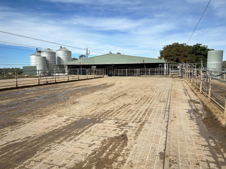 462 Hays Road Katunga VIC 3640 - Image 3
