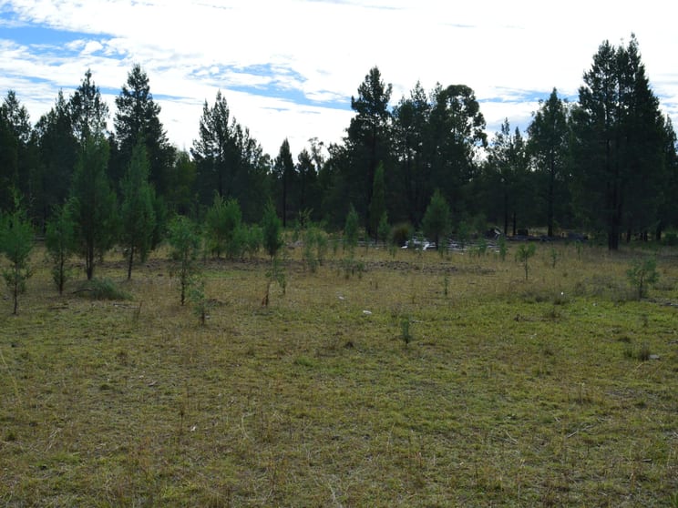 Click to view all images Lot 17 The Hut Road Inglewood QLD 4387 - Image 3