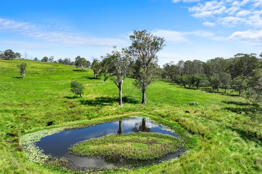 Click to view all images 760 Old Dyraaba Road Woodview NSW 2470 - Image 3