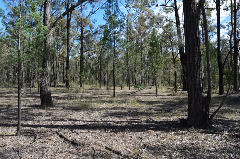 Click to view all images Lot 17 Tin Hut Road Inglewood QLD 4387 - Image 3