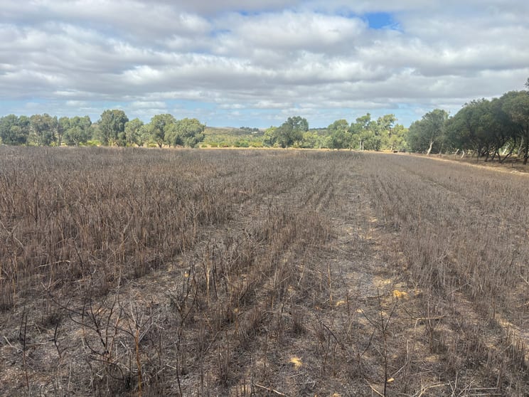 Click to view all images Lot 9678 Geraldton Mount Magnet Road Wicherina WA 6532 - Image 2