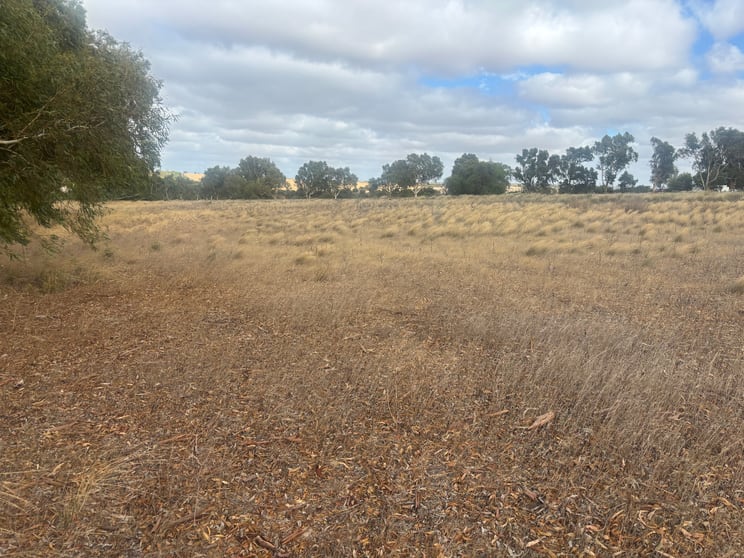Click to view all images Lot 9678 Geraldton Mount Magnet Road Wicherina WA 6532 - Image 3
