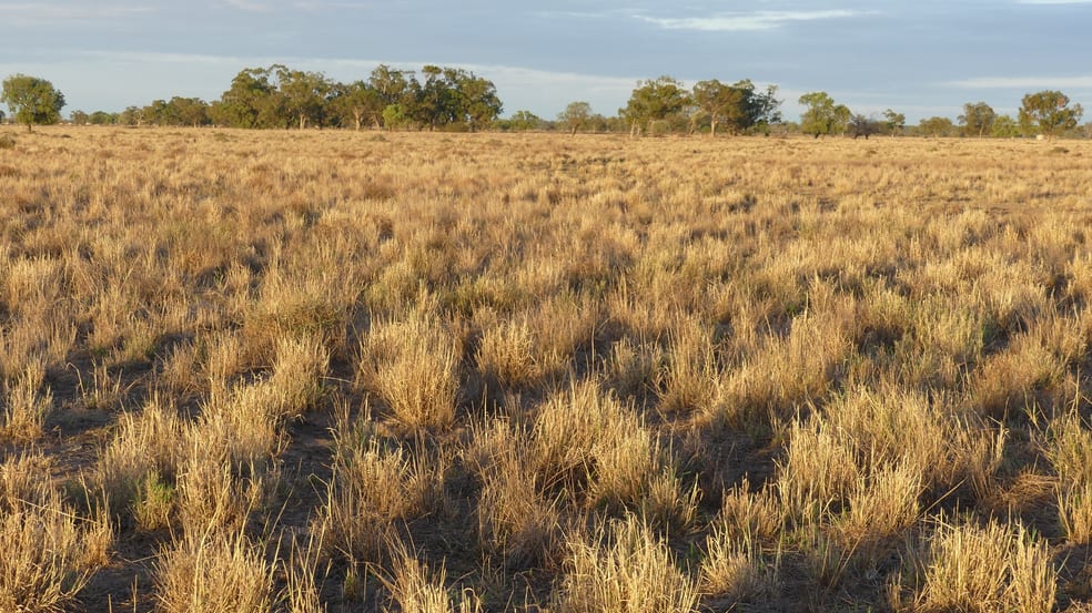 Click to view all images Warren NSW 2824 - Image 2