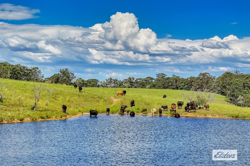 Click to view all images 1510 George Downes Drive Kulnura NSW 2250 - Image 2
