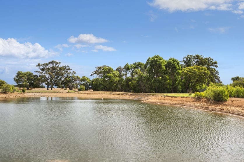 33 Barnett Grove Cowaramup WA 6284 - Image 3