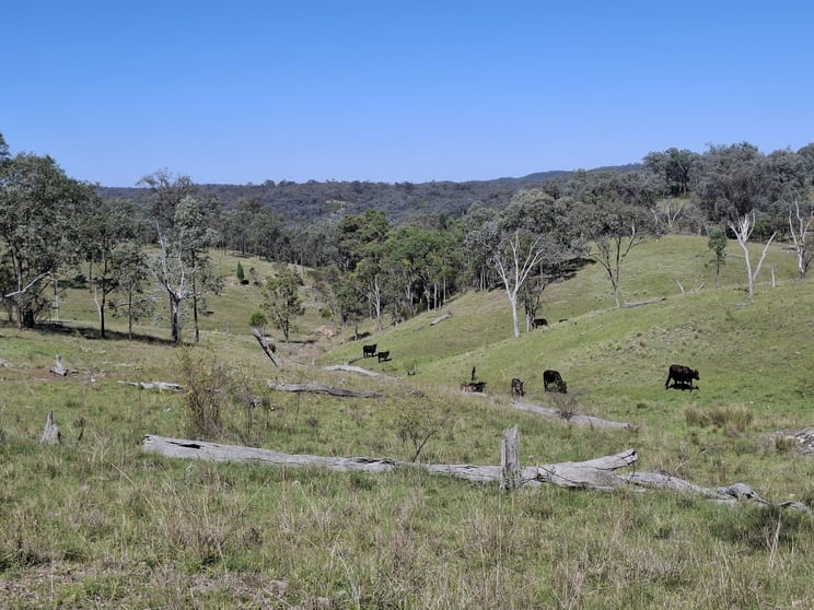 Click to view all images Lot 14 Silver Spur Redgate Road Silver Spur QLD 4385 - Image 1