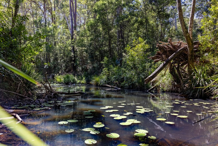Click to view all images 463-465 Byamee Road Koorainghat NSW 2430 - Image 3