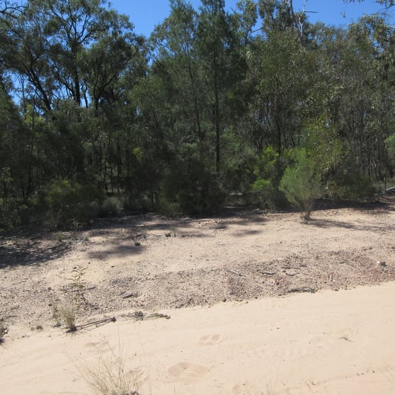 Click to view all images Lot 154 Lucky Road Tara QLD 4421 - Image 3
