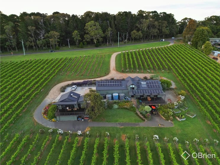 120 Arthurs Seat Road Red Hill VIC 3937 - Image 2