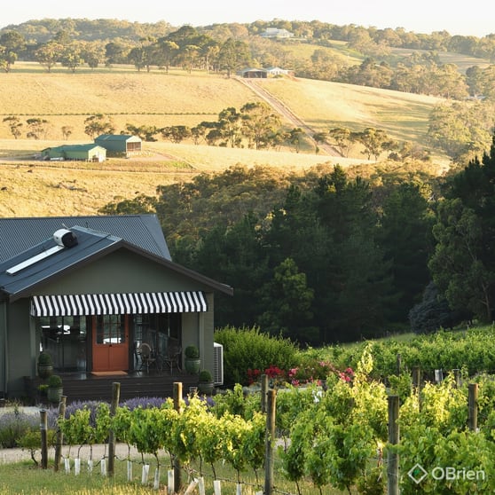 120 Arthurs Seat Road Red Hill VIC 3937 - Image 3