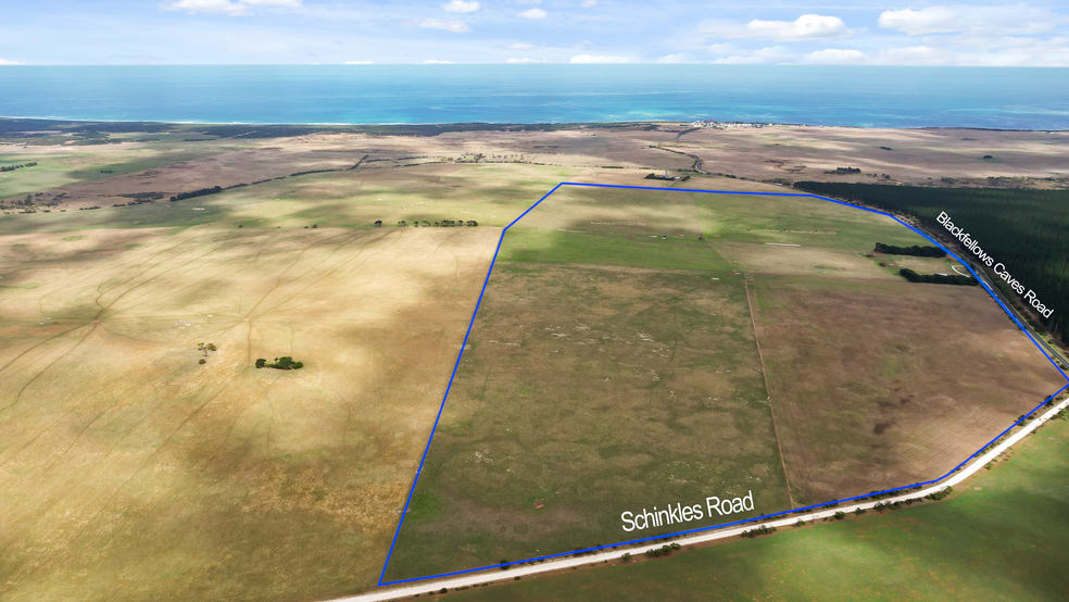 603 Blackfellows Caves Road Kongorong SA 5291 - Image 1