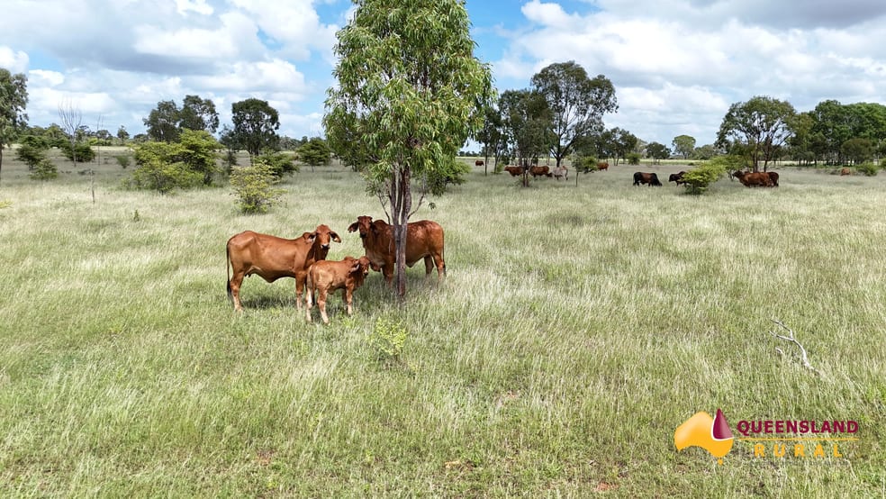 Seventy Mile QLD 4820 - Image 3