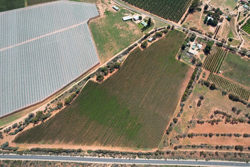 Click to view all images Lot 7 Pike Creek Road Lyrup SA 5343 - Image 3