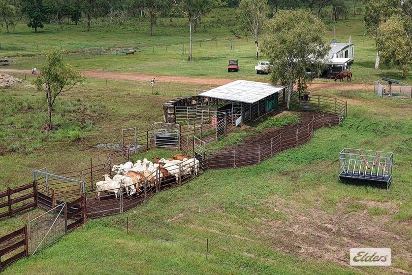 Click to view all images 995 Cheeney Road Batchelor NT 0845 - Image 3