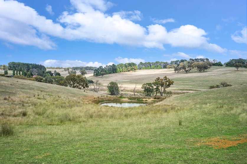 Click to view all images 2770 Woodhouselee Road, Laggan via Crookwell NSW 2583 - Image 3
