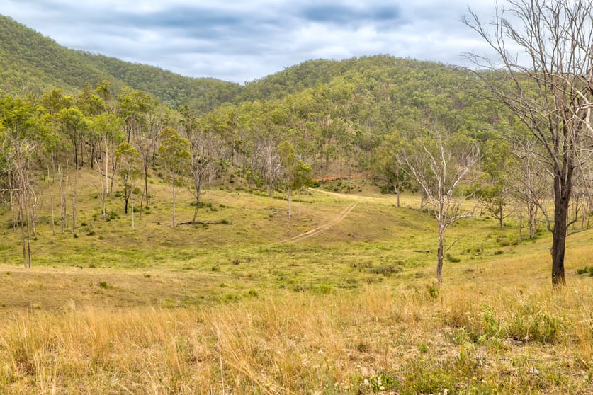 Click to view all images 1706 ESK CROWS NEST RD Biarra QLD 4313 - Image 3