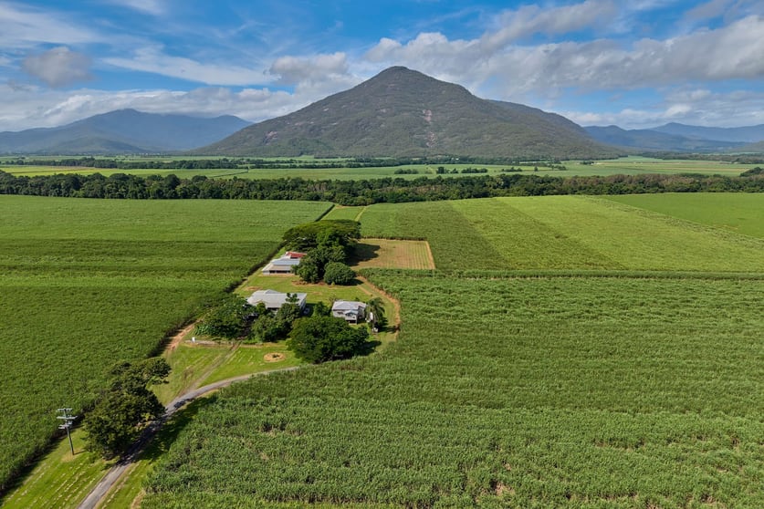 Click to view all images 280 Highleigh Road Gordonvale QLD 4865 - Image 1