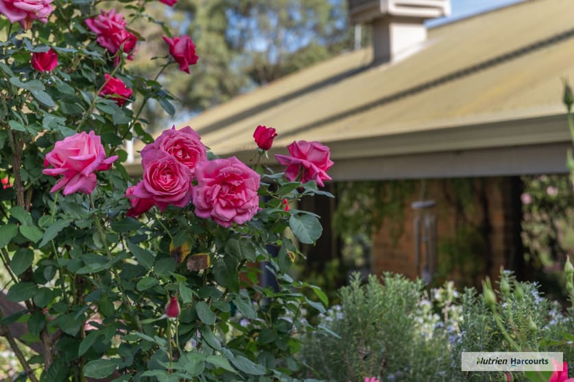 Click to view all images 310 Dockerys Road Tallarook VIC 3659 - Image 3