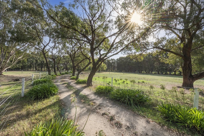 Click to view all images 1064 Stumpy Gully Road Moorooduc VIC 3933 - Image 3