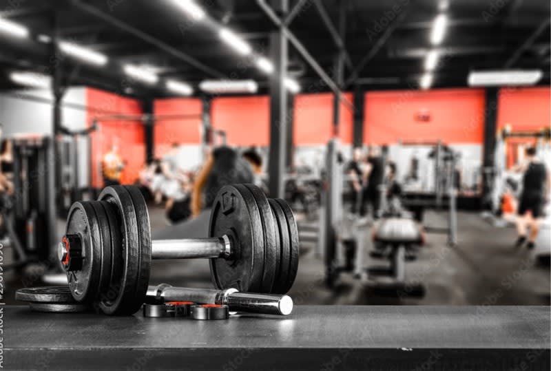 Click to view all images Sports Complex & Gym business for sale in Sydney - Image 3