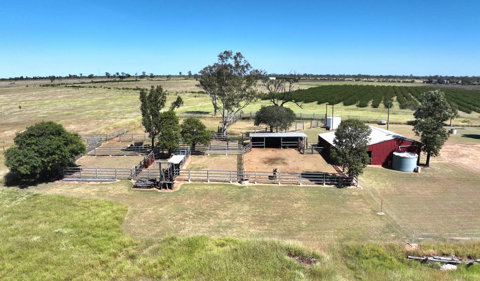 Click to view all images 338 Cheeseborough Rd Clermont QLD 4721 - Image 3