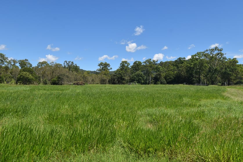Click to view all images 1863 Sarina Homebush Road Oakenden QLD 4741 - Image 1
