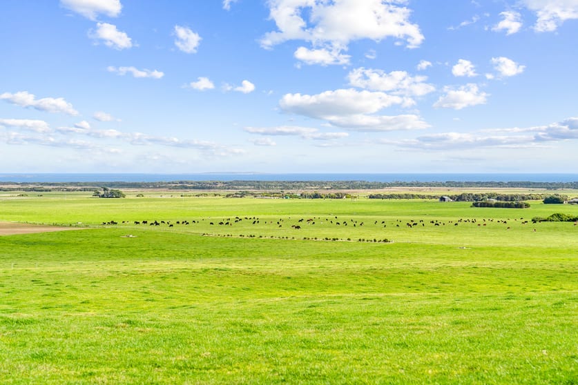 392 Lady Barron Road Ranga TAS 7255 - Image 1
